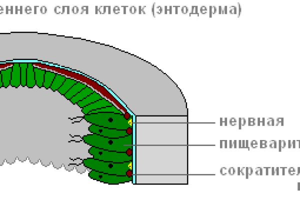 Регистрация на кракен